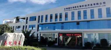 2019年云南十大名品出爐 云南軟件開發(fā)行業(yè)蓬勃發(fā)展